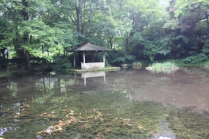 竹ｹ沢公園